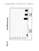 Compositions and methods of use for modulators of nectin 4, semaphorin 4b, igsf9, and kiaa0152 in treating disease diagram and image