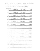 Bispecific Domain Antibodies Targeting Serum Albumin And GLP-1 Or PYY diagram and image