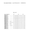 Bispecific Domain Antibodies Targeting Serum Albumin And GLP-1 Or PYY diagram and image