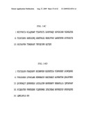 Bispecific Domain Antibodies Targeting Serum Albumin And GLP-1 Or PYY diagram and image