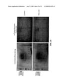 B-CELL REDUCTION USING CD37-SPECIFIC AND CD20-SPECIFIC BINDING MOLECULES diagram and image