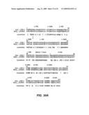 B-CELL REDUCTION USING CD37-SPECIFIC AND CD20-SPECIFIC BINDING MOLECULES diagram and image