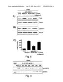 Antigenic Epitopes Of Inteleukin-21, Related Antibodies And Their Use In Medical Field diagram and image