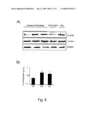 Antigenic Epitopes Of Inteleukin-21, Related Antibodies And Their Use In Medical Field diagram and image