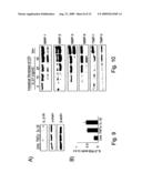 Antigenic Epitopes Of Inteleukin-21, Related Antibodies And Their Use In Medical Field diagram and image