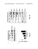 Antigenic Epitopes Of Inteleukin-21, Related Antibodies And Their Use In Medical Field diagram and image