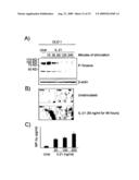 Antigenic Epitopes Of Inteleukin-21, Related Antibodies And Their Use In Medical Field diagram and image