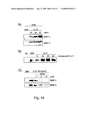 Antigenic Epitopes Of Inteleukin-21, Related Antibodies And Their Use In Medical Field diagram and image