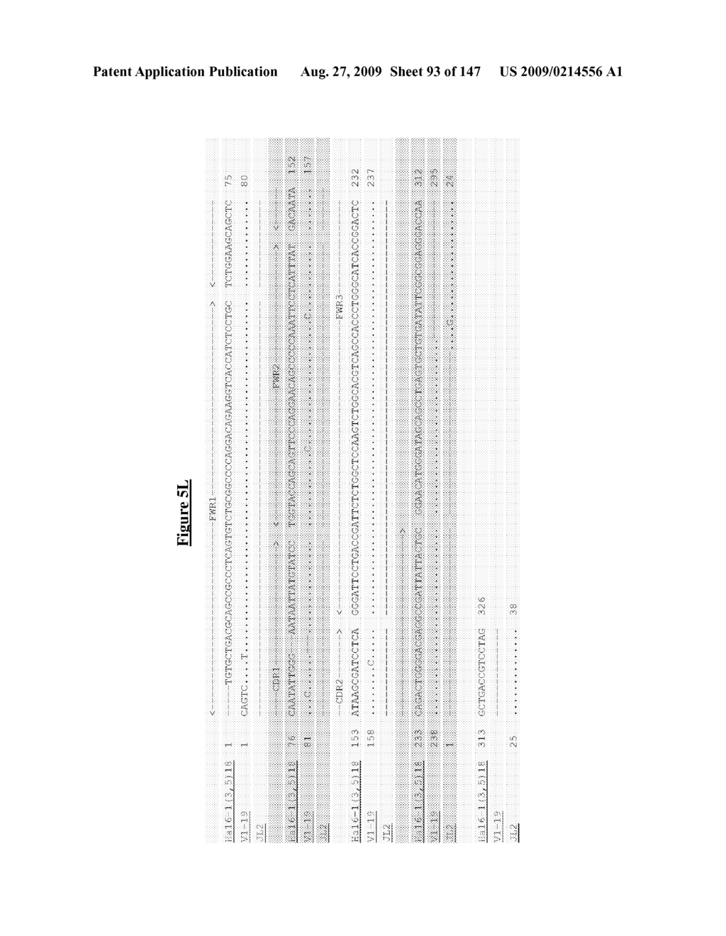 ANTIBODIES AND RELATED MOLECULES THAT BIND TO 161P2F10B PROTEINS - diagram, schematic, and image 94