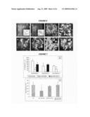 Protective anti-glucan antibodies with preference for beta-1,3- glucans diagram and image