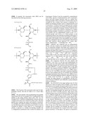 Monovalent and polyvalent synthetic polysaccharide antigens for immunological intervention in disease diagram and image