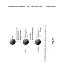 Nitric oxide-releasing particles for nitric oxide therapeutics and biomedical applications diagram and image