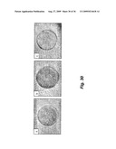 Nitric oxide-releasing particles for nitric oxide therapeutics and biomedical applications diagram and image