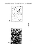 Nitric oxide-releasing particles for nitric oxide therapeutics and biomedical applications diagram and image