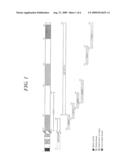 IDENTIFICATION OF A CONSERVED REGION OF PLASMODIUM FALCIPARUM MSP3 TARGETED BY BIOLOGICALLY ACTIVE ANTIBODIES diagram and image