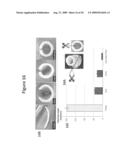 TREATMENT OF ANEURYSM WITH APPLICATION OF CONNECTIVE TISSUE STABILIZATION AGENT IN COMBINATION WITH A DELIVERY VEHICLE diagram and image