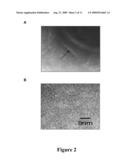 SURFACE-LAYER PROTEIN COATED MICROSPHERES AND USES THEREOF diagram and image