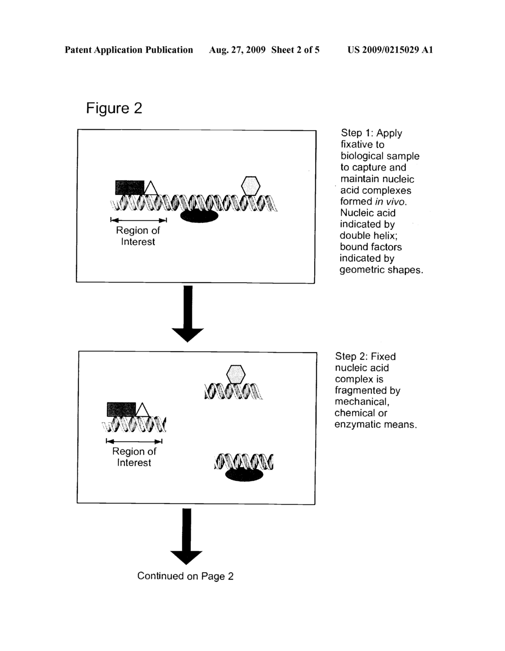 METHODS OF ISOLATING AND PURIFYING NUCLEIC ACID-BINDING BIOMOLECULES AND COMPOSITIONS INCLUDING SAME - diagram, schematic, and image 03