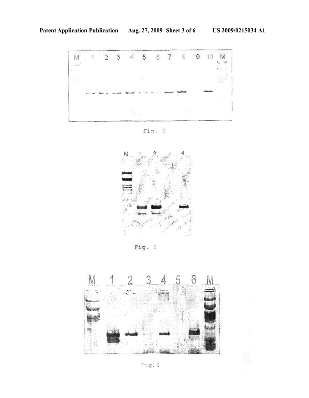 Method for selectively detecting subsets of nucleic acid molecules - diagram, schematic, and image 04