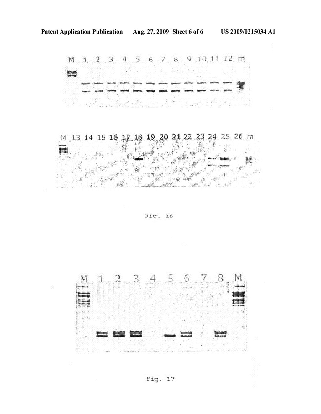 Method for selectively detecting subsets of nucleic acid molecules - diagram, schematic, and image 07