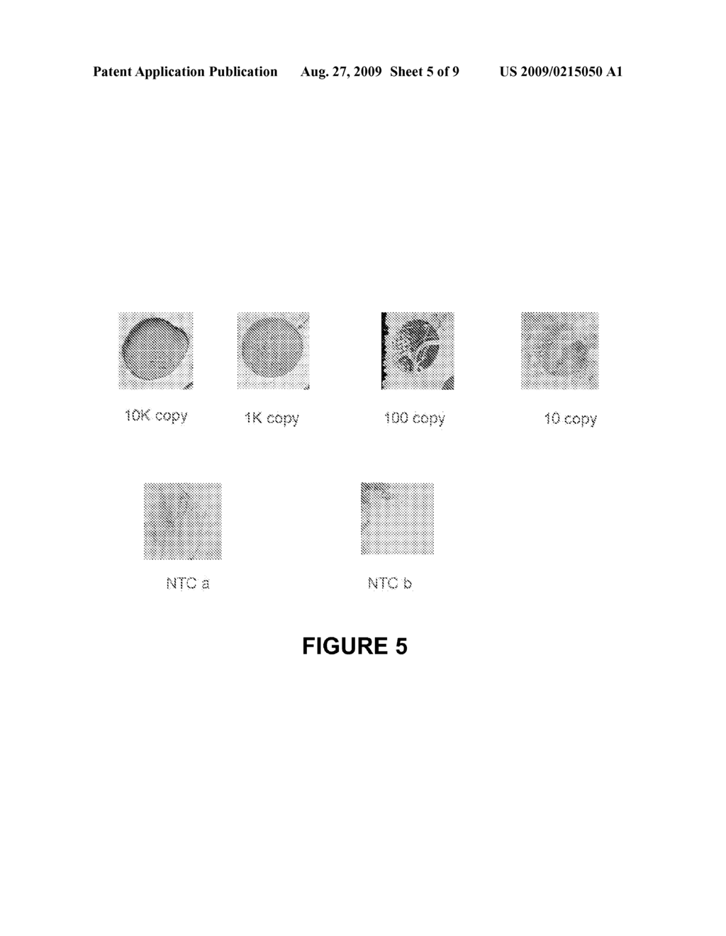 SYSTEMS AND METHODS FOR POINT-OF-CARE AMPLIFICATION AND DETECTION OF POLYNUCLEOTIDES - diagram, schematic, and image 06