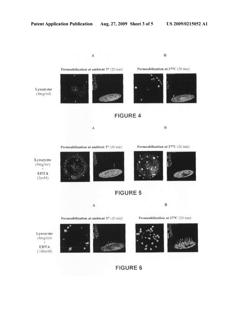 Composition for permeabilizing the walls of microorganisms comprising the combination of ethylenediaminetetraacetic acid (EDTA) and polyethyleneimine (PEI) - diagram, schematic, and image 04