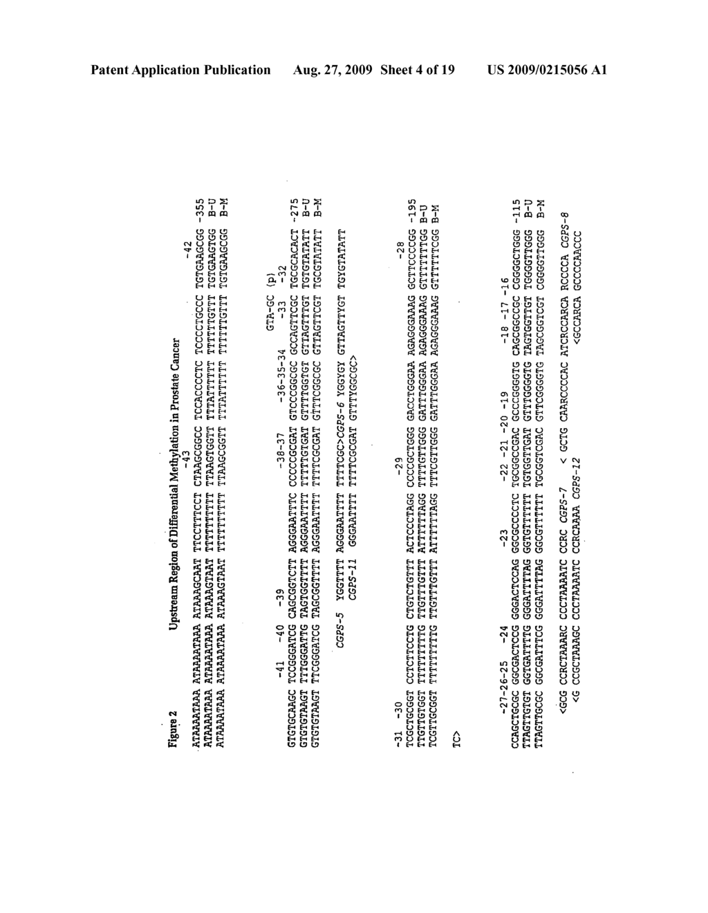 Assay for Methylation in the GST-PI Gene - diagram, schematic, and image 05