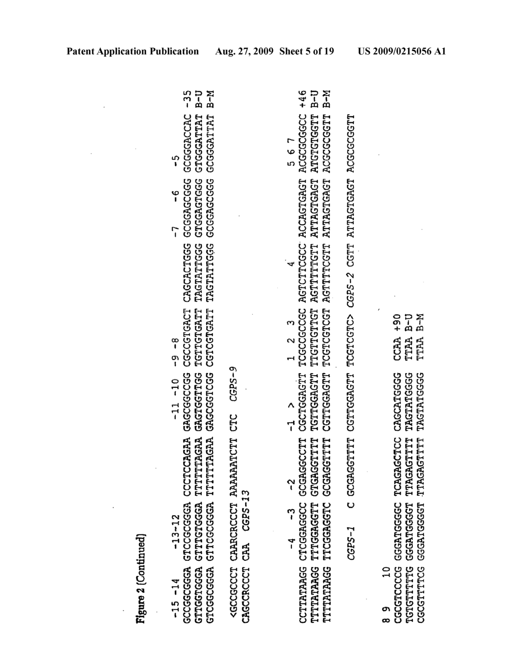 Assay for Methylation in the GST-PI Gene - diagram, schematic, and image 06