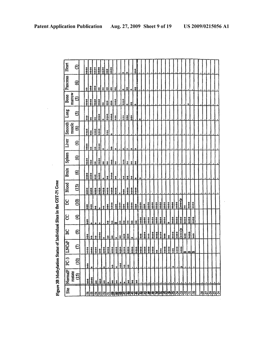 Assay for Methylation in the GST-PI Gene - diagram, schematic, and image 10