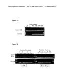 Assay for Methylation in the GST-PI Gene diagram and image