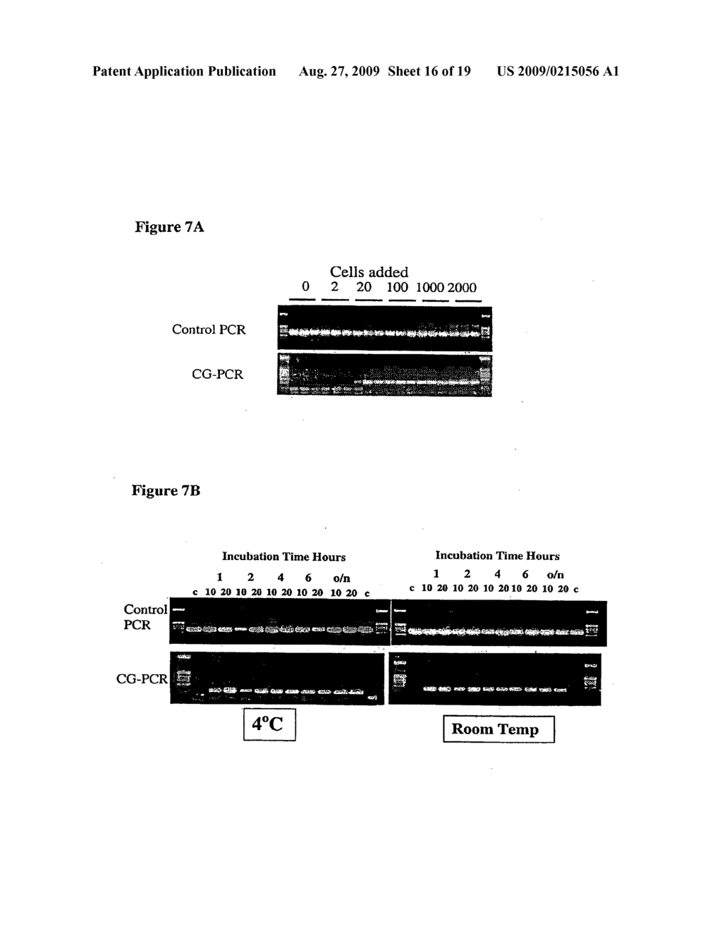 Assay for Methylation in the GST-PI Gene - diagram, schematic, and image 17