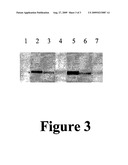 Toxoplasma gondii Oocyst Protein diagram and image