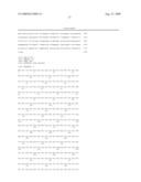 COMPOSITIONS AND METHODS FOR IDENTIFYING AND TARGETING CANCER CELLS OF ALIMENTARY CANAL ORIGIN diagram and image