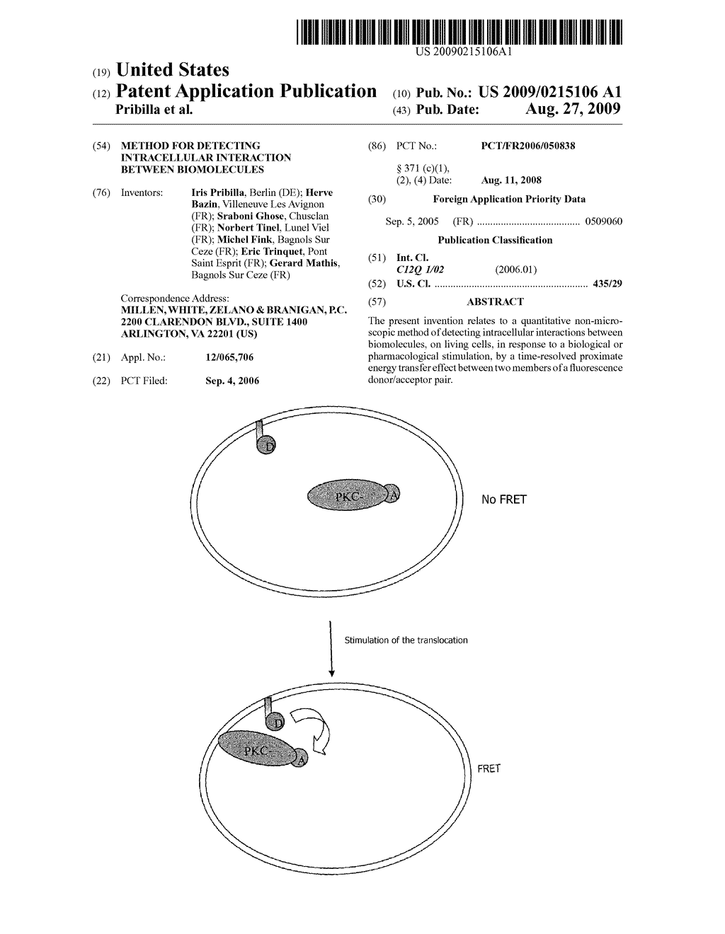 METHOD FOR DETECTING INTRACELLULAR INTERACTION BETWEEN BIOMOLECULES - diagram, schematic, and image 01