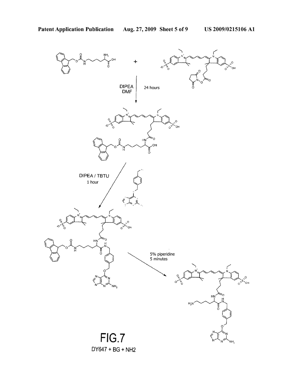 METHOD FOR DETECTING INTRACELLULAR INTERACTION BETWEEN BIOMOLECULES - diagram, schematic, and image 06