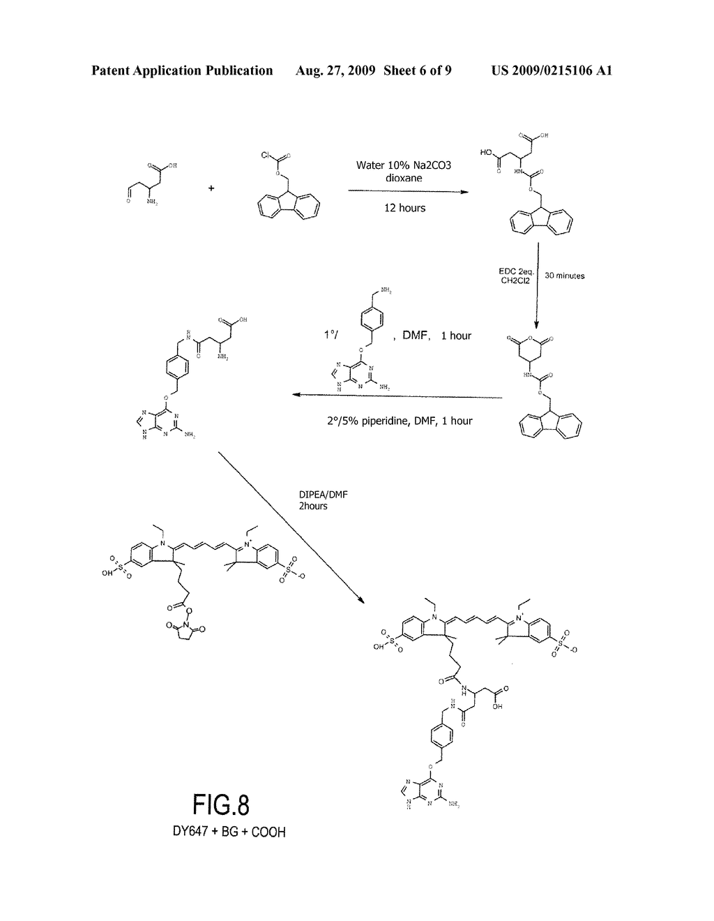 METHOD FOR DETECTING INTRACELLULAR INTERACTION BETWEEN BIOMOLECULES - diagram, schematic, and image 07