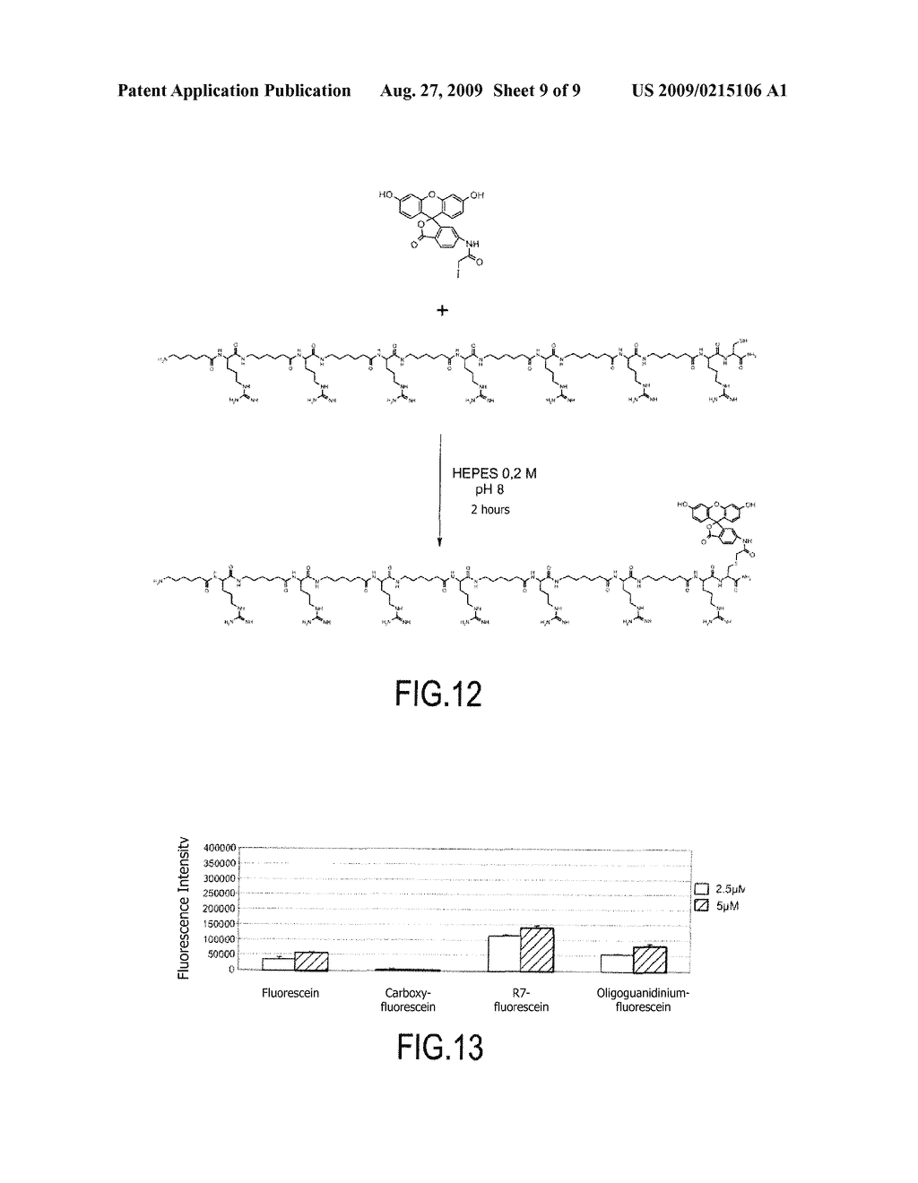 METHOD FOR DETECTING INTRACELLULAR INTERACTION BETWEEN BIOMOLECULES - diagram, schematic, and image 10