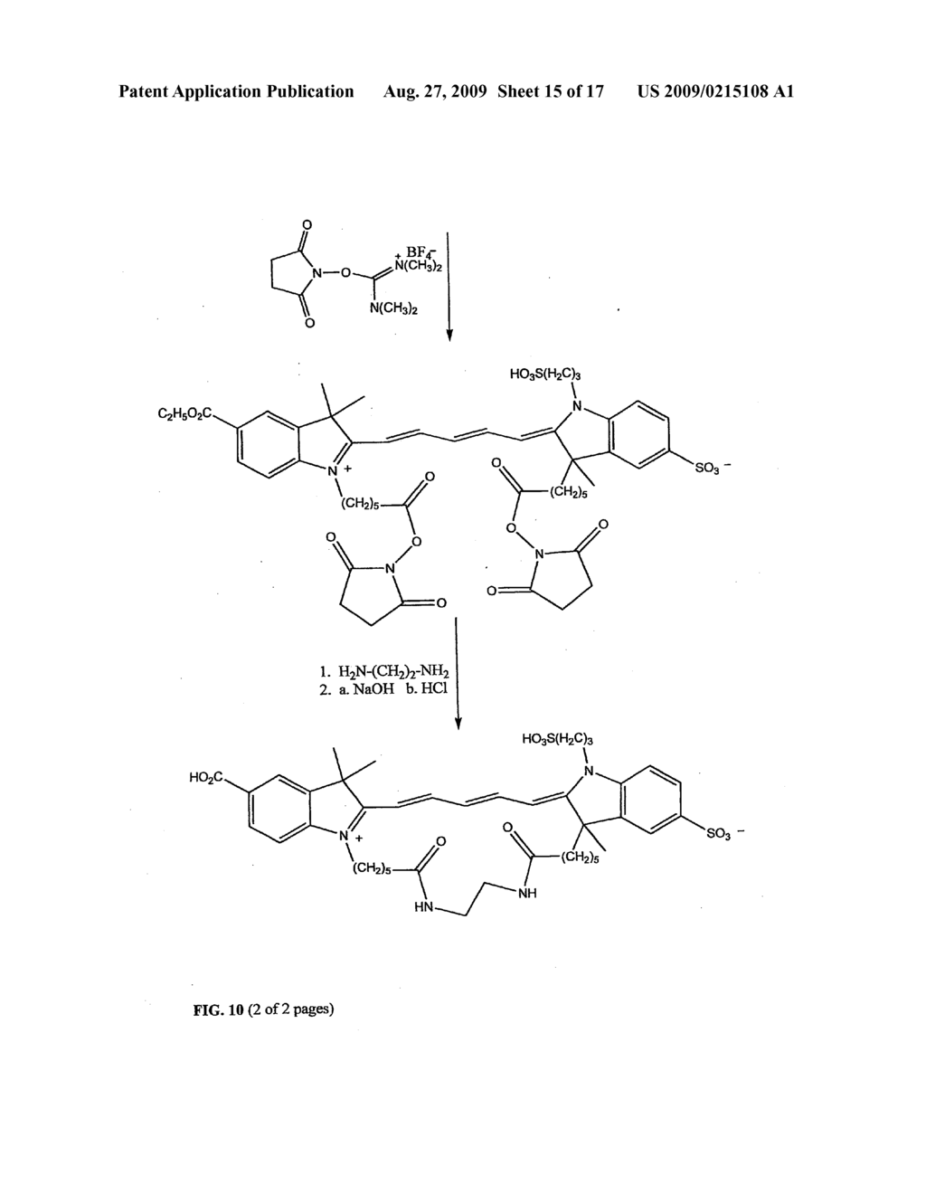 Methods of analyzing a biological sample - diagram, schematic, and image 16