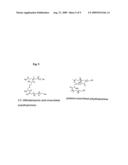 Cationic Polymer for Transporting Nucleic Acids in Cells diagram and image