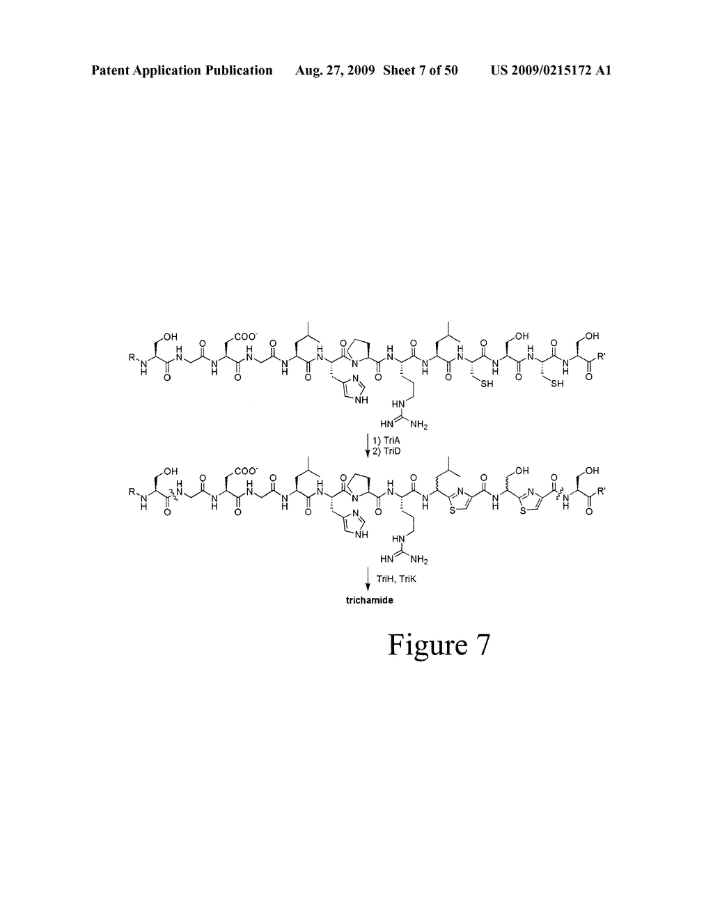 Methods and Compositions Related to Cyclic Peptide Synthesis - diagram, schematic, and image 08