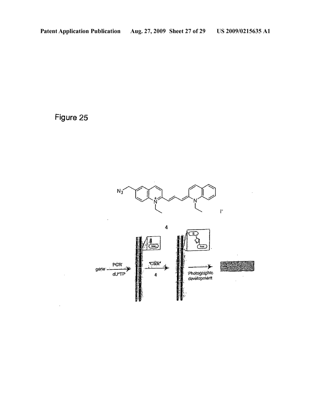 LABELLING STRATEGIES FOR THE SENSITIVE DETECTION OF ANALYTES - diagram, schematic, and image 28