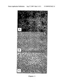 Methods and Compositions for Assessing Alterations in Gene Expression Patterns in Clinically Normal Tissues Obtained from Heterozygous Carriers of Mutant Genes Associated with Cancer and Methods of Use Thereof diagram and image