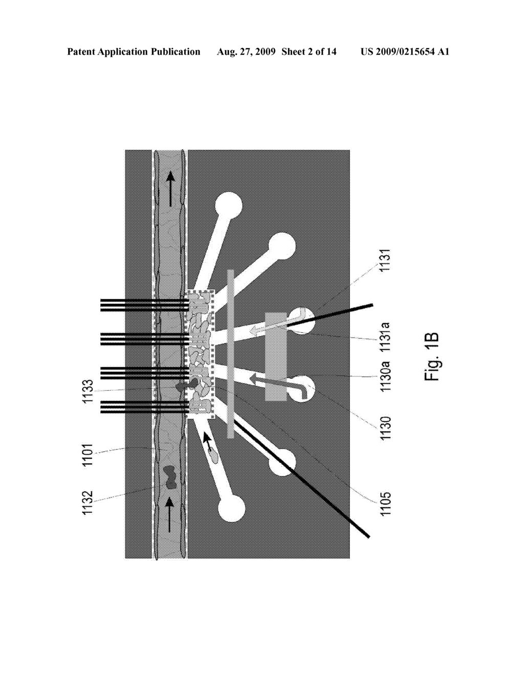 Capillary Perfused Bioreactors with Multiple Chambers - diagram, schematic, and image 03