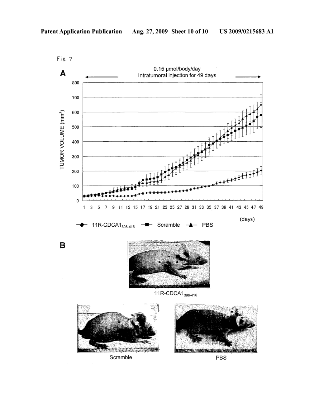 SCREENING AND THERAPEUTIC METHOD FOR NSCLC TARGETING CDCA1-KNTC2 COMPLEX - diagram, schematic, and image 11