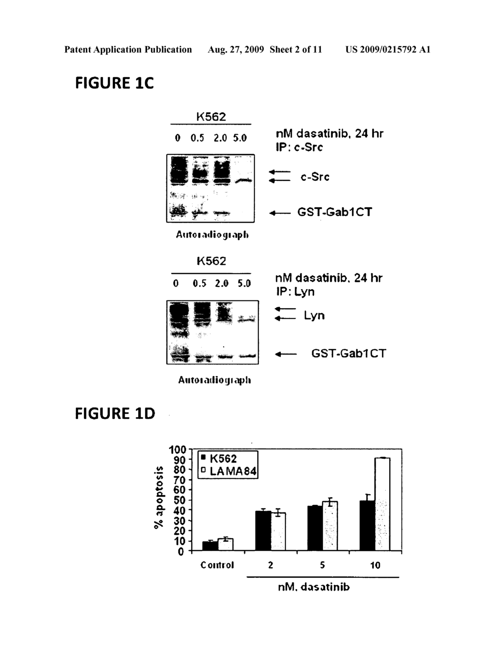 METHOD OF TREATING CHRONIC MYELOGENOUS LEUKEMIA CELLS - diagram, schematic, and image 03