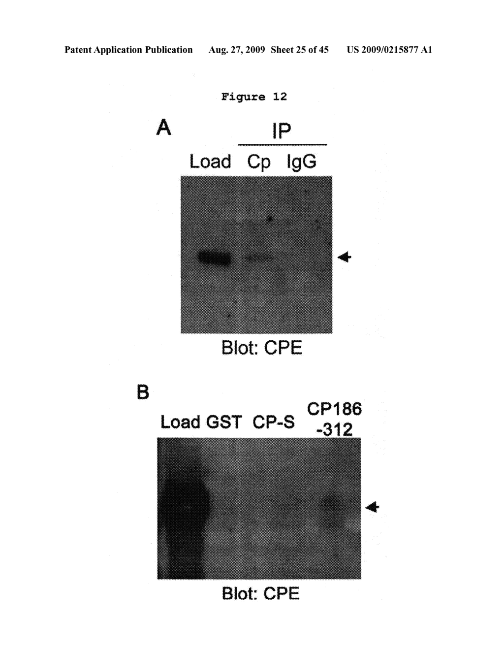 Methods and Compositions for the Diagnosis and Treatment of Schizophrenia - diagram, schematic, and image 26