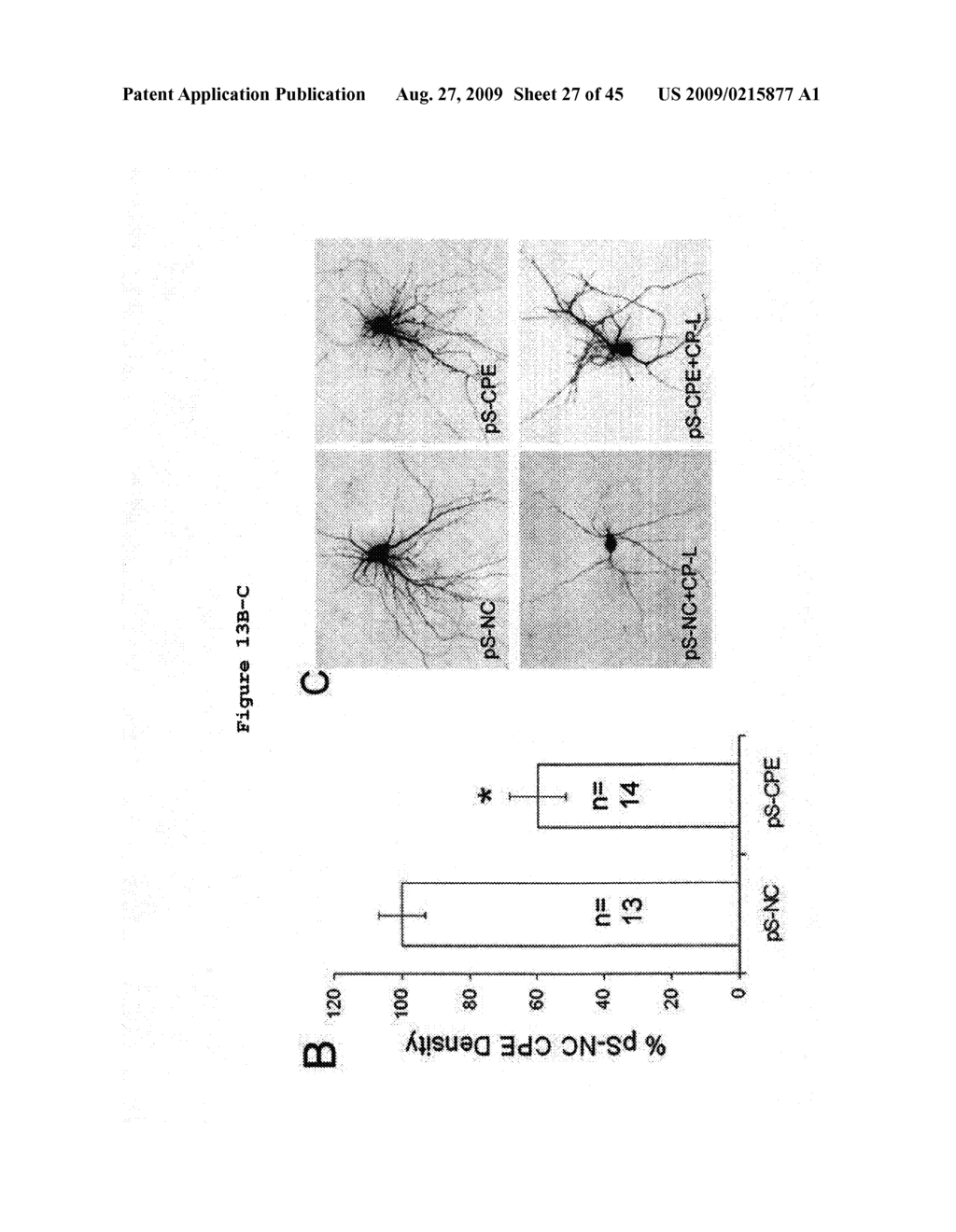 Methods and Compositions for the Diagnosis and Treatment of Schizophrenia - diagram, schematic, and image 28