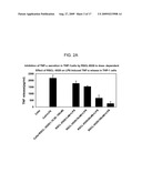 TOLL LIKE RECEPTOR (TLR) SIGNALING ANTAGONIST diagram and image