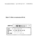 TOLL LIKE RECEPTOR (TLR) SIGNALING ANTAGONIST diagram and image