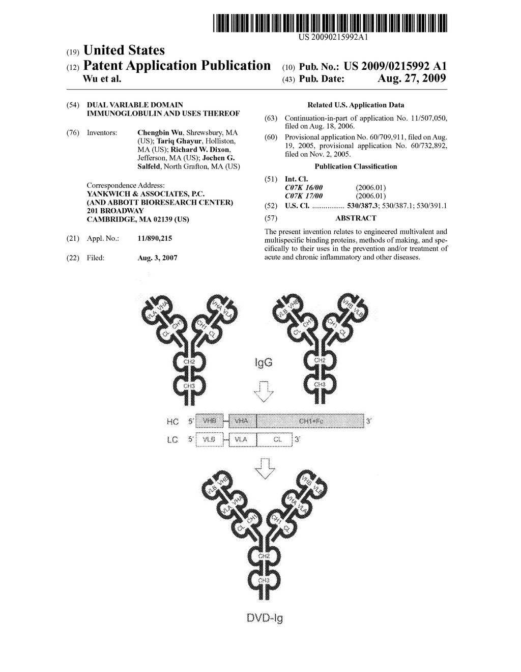 Dual variable domain immunoglobulin and uses thereof - diagram, schematic, and image 01